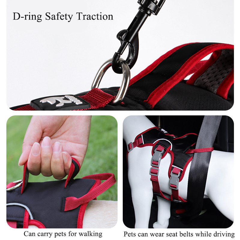 Zugsicheres Hundegeschirr für  – D Ring Strap Bewertung und Preis